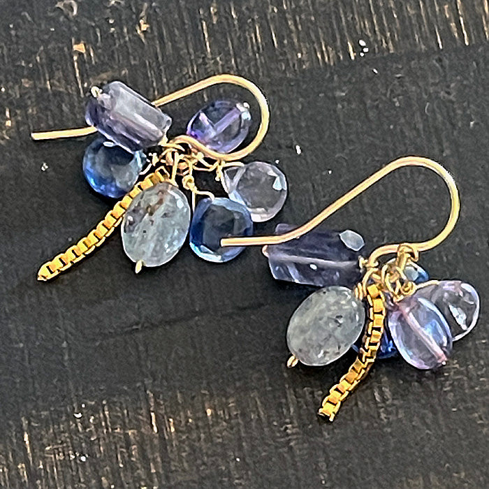 Kyanite and Iolite Blue and Blue Earrings - 14KGF